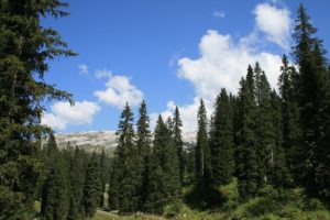Karst Wanderung | Trekking Team AG